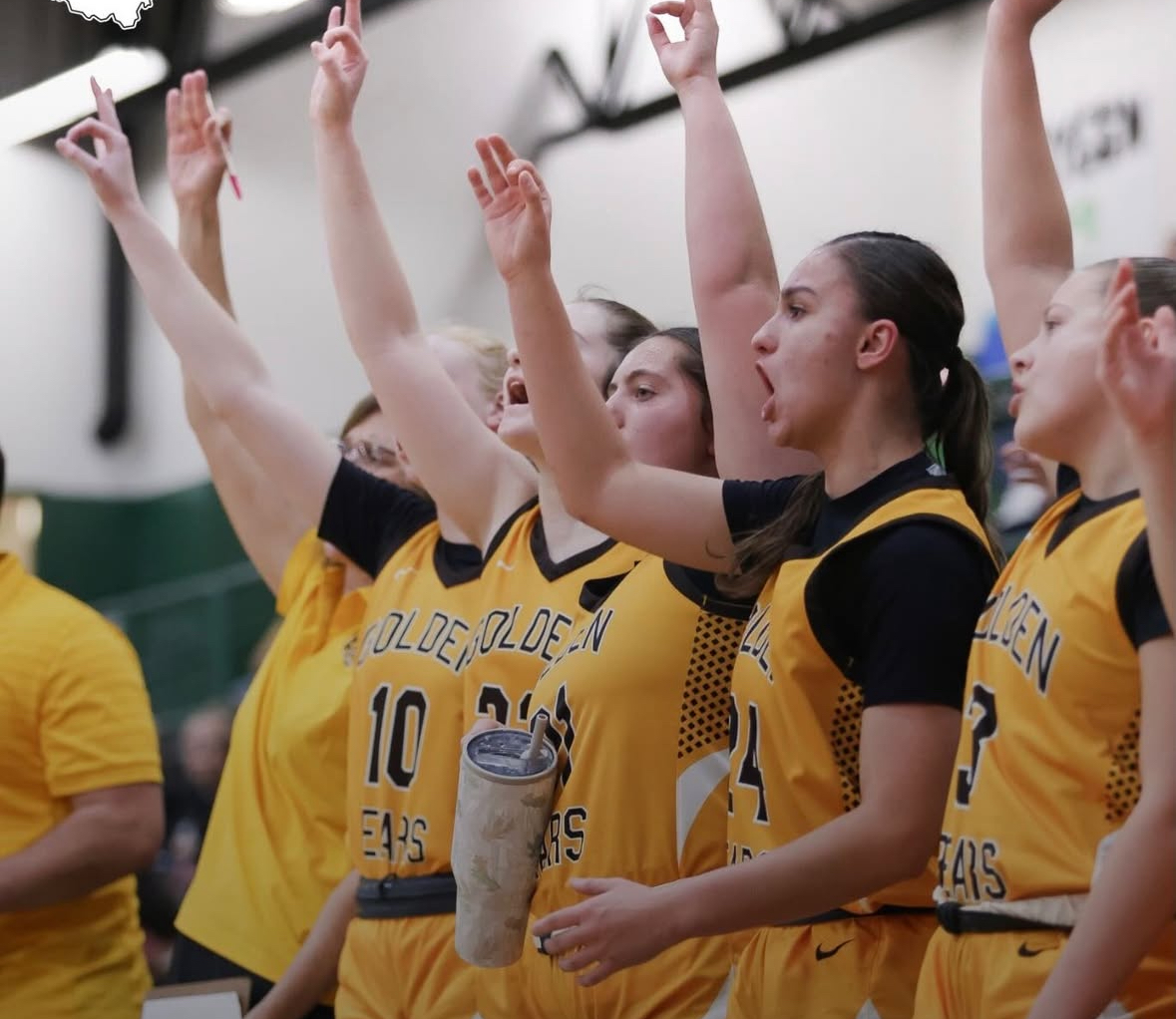 Waynedale Girls down Ashland/Norwayne