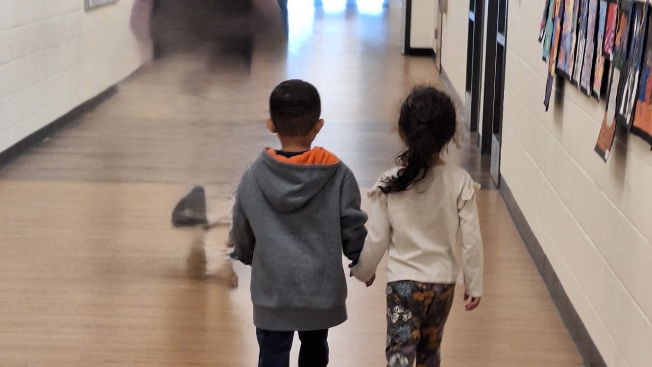 Cub Walk